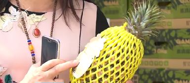 推动厦门高雄农渔产品采购协议落地 高雄特色农产陆续 登鹭