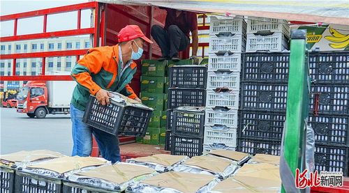 首衡高碑店农副产品物流园 迈向现代食品商贸物流产业集群的典范