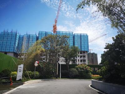稀缺墅居价值重估 翔安首创禧瑞风华以精工优势重新占位厦门商贸圈